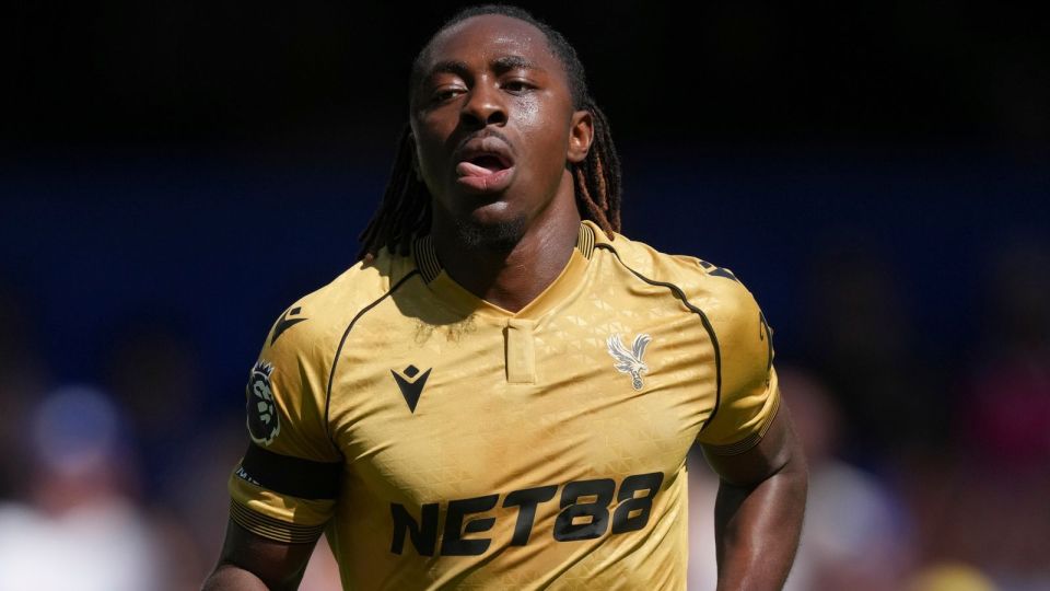 伤后就立即, 万欧元 伤后就立即, 万欧元