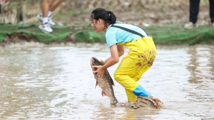 https, https https, https